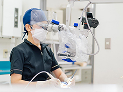 担当医、担当衛生士制